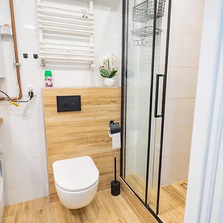 Przy Jasnych Bloniach Apartment *