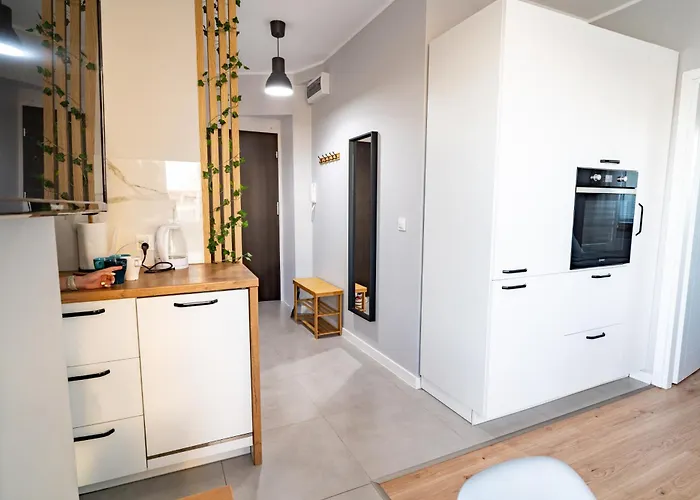 Apartament Przy Jasnych Bloniach *